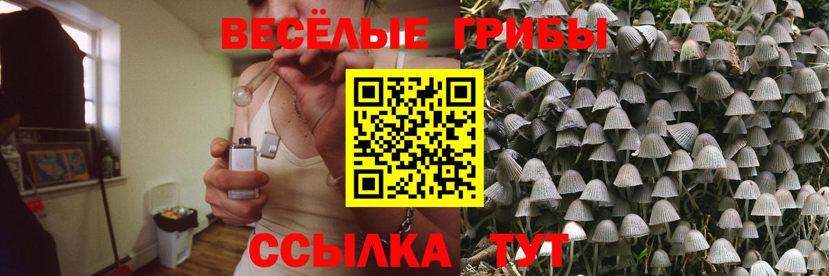 Псилоцибиновые грибы мицелий  Псилоцибиновые грибы Magic Shrooms  Вход с VPN  Зерноград 